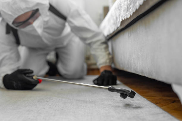 Professional Ant Control technician working in Hornsby Bend, TX