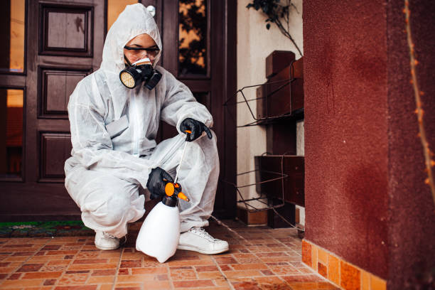 Reliable Ant Control contractor in Hornsby Bend, TX by Show Me Pest Control